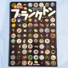 Item thumbnail for item 103237ef-9d2d-48ec-9fcf-262b97753ae5