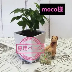 Item thumbnail for item bd85544f-02fb-4833-ba79-7bb698c88682