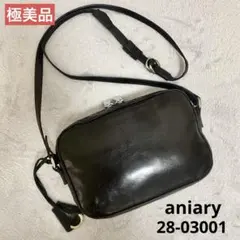 ◎現行 aniary アニアリ ショルダーバッグ リアリティレザー カメラ 