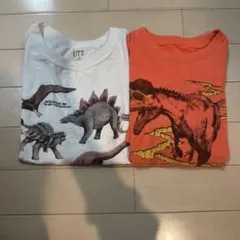 UNIQLO・GAPTシャツ