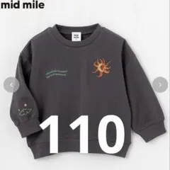 Item thumbnail for item e85e957e-0bb0-4759-b842-2be7ce4961e6