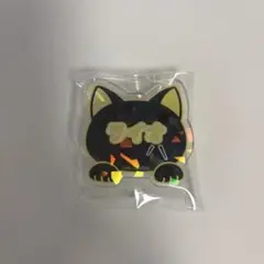 ライオ ナンジャタウン マッシュル ホロネームバッジコレクション