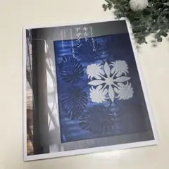 Item thumbnail for item 08dcaf57-1fc8-4bf6-8507-c53378de5e66