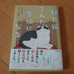 流浪貓阿貢變成家貓　油富