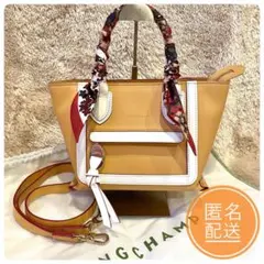 未使用品✨　ロンシャン　トップハンドルバッグ S メールボックス　保存袋付き