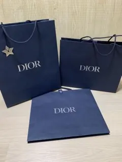 DIOR ショップ袋 3枚セットのサムネイル