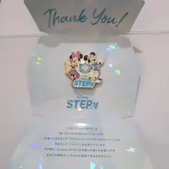 Disney STEP ピンバッジ ミッキー ミニー