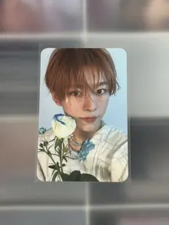 nctwish songbird ユウシ　トレカ