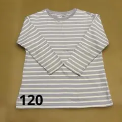 ユニクロ　ボーダー　長袖Tシャツ　120 薄紫色