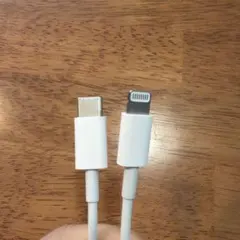 USB-C to Lightningケーブル 1m