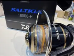 2025年最新】ソルティガ 18000 スプールの人気アイテム - メルカリ