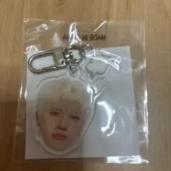 treasure pulse on tourカプセルトイ顔アクキージョンファン