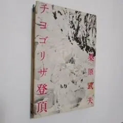 チョゴリザ登頂