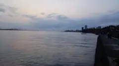 専用ページ