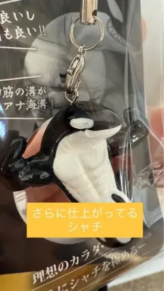 Item thumbnail for item 9c74f3f5-1f5c-4cb8-9ddb-dce2f3110db4