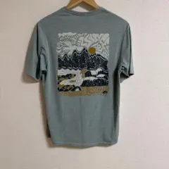 patagonia Capilene Cool Daily Tシャツ S