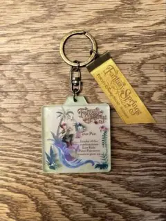 ピーターパン アクリルキーホルダー　ファンタジースプリングス　ディズニー