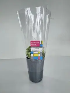 tocomero様 リクエスト 2点 まとめ商品