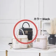 RoséMuse ロゼミューズ bijou vanity bag Blackのサムネイル