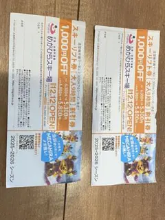 めがひらスキー場　割引券　リフト券　1000円　２枚　セット