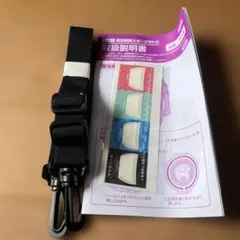 Item thumbnail for item 65c874b5-95ad-42ff-92ee-be8840dcd2c0