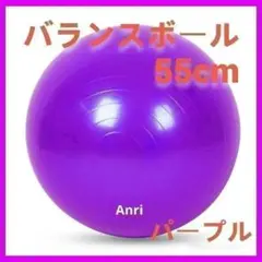 バランスボール 55