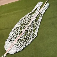 Item thumbnail for item a7a64d5b-4ee3-46bb-a7ac-848147e1b5ae