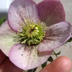 キー（プロフィール必読）様 リクエスト 2点 まとめ商品