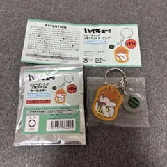 ハイキュー トレーディング2連アクリルキーホルダー 日向翔陽