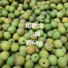 徳島県神山町産新鮮梅です 5月末頃発送予定です　予約受付中‼️ 徳島県 神山町産新鮮梅です 5月末頃に発送予定です、予約受付中