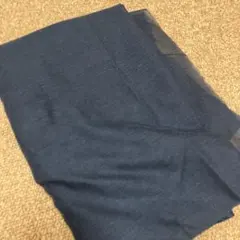 Item thumbnail for item 6c17dfaf-a238-43eb-b54c-7c98e080b057