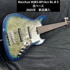 Bacchus WJB5-BP/Act BL-B 5弦ベース アクティブPU