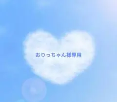 おりっちゃん様 リクエスト 2点 まとめ商品