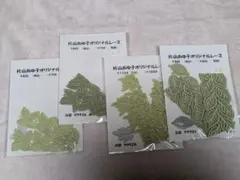 片山あゆ子　レース