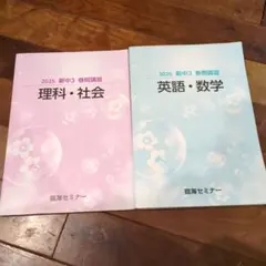 臨海セミナー 2025 新中3 春期講習 テキスト 2冊セット