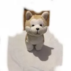 秋田犬 ぬいぐるみ マスコット キーホルダー