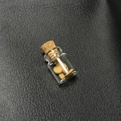 マンドラゴラ マンドレイク 種 5個 2025年度産