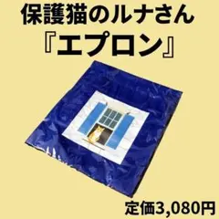 Item thumbnail for item 478786b0-d133-4e4e-ab18-64f250e94ff9