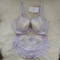 トリンプ　レッドレーベル　天使のブラ0102　定価13090円　 E75　L②