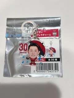 ヴィッセル神戸 ガチャ ミニ色紙アクリルキーホルダー 新品 - メルカリ