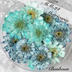 .*⁠✧⁠ Alice ✧⁠*.様 リクエスト 2点 まとめ商品