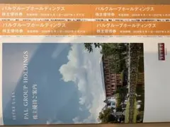 パルグループホールディングス 株主優待券 4枚セット　男性名義のサムネイル