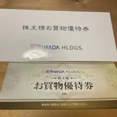 YAMADA HLDGS. お買物優待券 6枚 ¥500