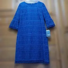 【新品 未使用】レリアン 総レースと刺繍のワンピース(ネイビー) ドレス 　9号のサムネイル