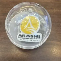 嵐 会場限定 ガチャ untitled カプセルトイ We are ARASHI - メルカリ