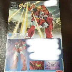 HG サイコジムの説明書のみのサムネイル