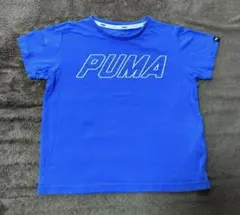 Item thumbnail for item 607e553e-f27e-479c-888b-346e94f18b22