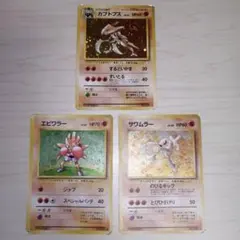 旧裏 エビワラー サワムラー カブトプス 渦巻きホロ