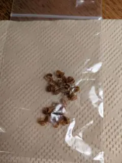 断捨離@フォロー割引きします様 リクエスト 2点 まとめ商品