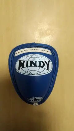 WINDY キックボクシング ファールカップ 金的 鉄製 Sサイズ - メルカリ